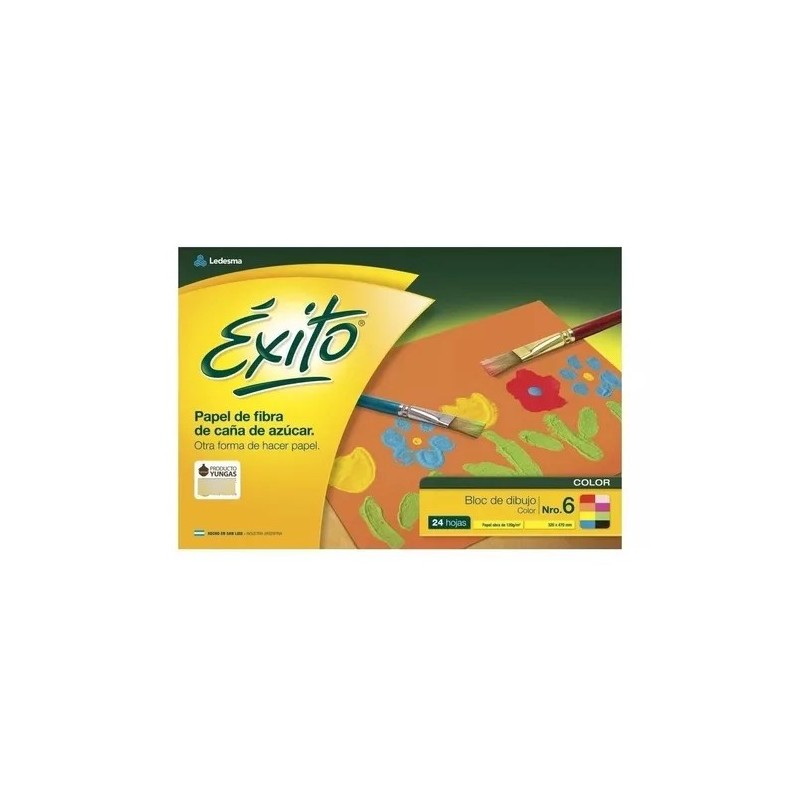 Repuesto Dibujo Éxito N° 6 COLOR X 24 hojas - canson